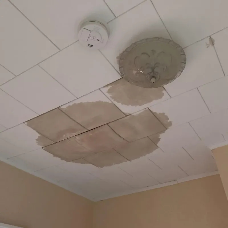 Ceiling Water Damage Repair in Norwood, MA