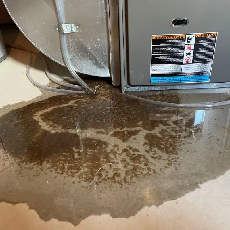 Pipe Burst and Leak Restoration in Norwood, MA